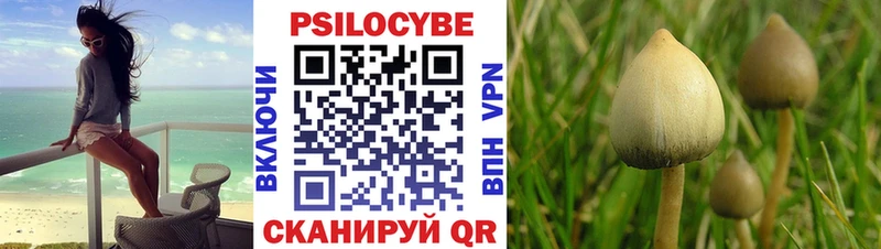 KRAKEN рабочий сайт  Шацк  Галлюциногенные грибы мухоморы 